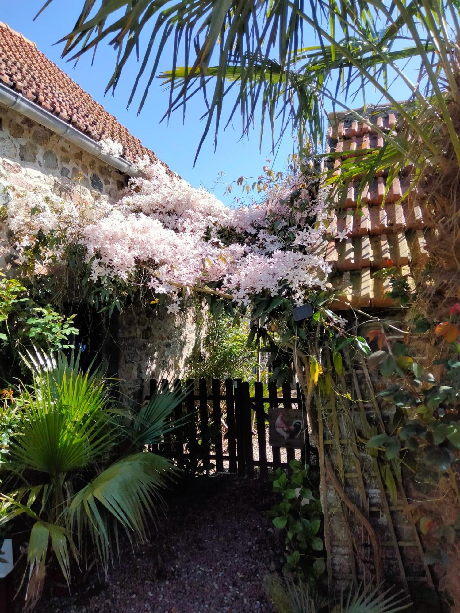 Ferienwohnung Les Deux Moulins Saint-Alban  Exterior foto